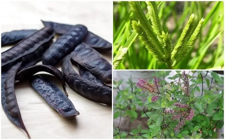 Cách Nấu Cỏ Mần Trầu Gội Đầu Tại Nhà Đơn Giản, Hiệu Quả Cách Nấu Cỏ Mần Trầu Gội Đầu Tại Nhà Đơn Giản, Hiệu Quả