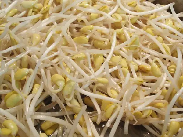 Cách Nấu Cơm Độn Bo Bo Thơm Ngon, Chuẩn Vị Xưa Cách Nấu Cơm Độn Bo Bo Thơm Ngon, Chuẩn Vị Xưa