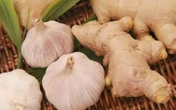 Cách Nấu Cơm Gà Singapore Chuẩn Vị Tại Nhà Đơn Giản