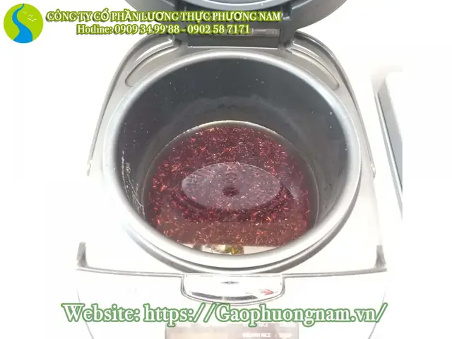 Hướng Dẫn Chi Tiết Cách Nấu Cơm Gạo Lứt Đỏ Thơm Ngon, Dễ Làm