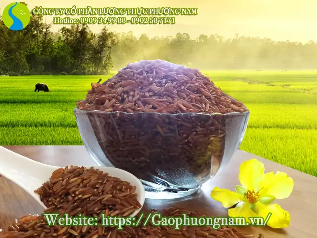 Hướng Dẫn Chi Tiết Cách Nấu Cơm Gạo Lứt Đỏ Thơm Ngon, Dễ Làm