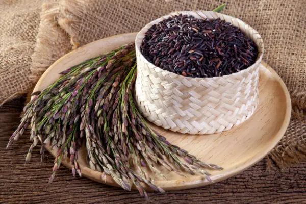 cách nấu cơm gạo lứt ngon