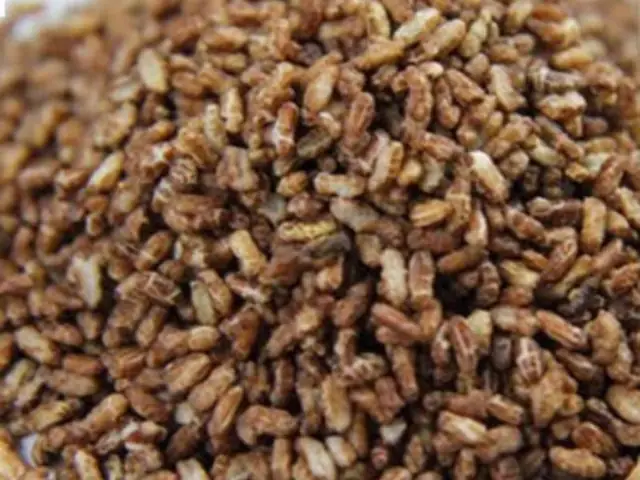 Cách Nấu Cơm Gạo Lứt Rong Biển: Hướng Dẫn Từ A Đến Z