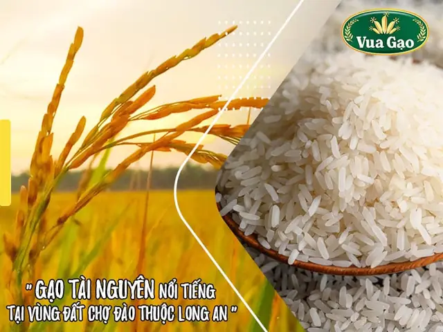 Hướng dẫn cách nấu cơm gạo tài nguyên dẻo thơm chuẩn vị