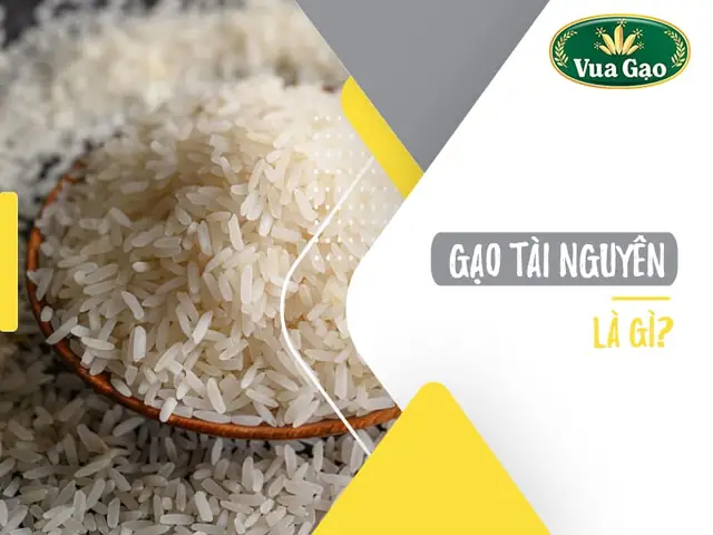 Hướng dẫn cách nấu cơm gạo tài nguyên dẻo thơm chuẩn vị