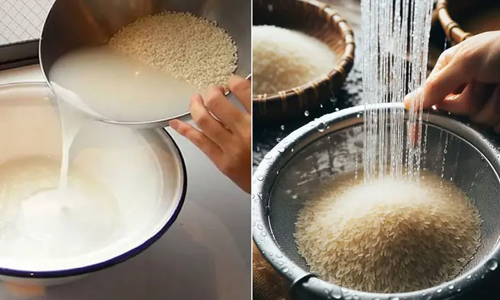 Cách Nấu Cơm Không Bị Nhão: Bí Quyết Đạt Hạt Cơm Tơi Xốp Hoàn Hảo Cách Nấu Cơm Không Bị Nhão: Bí Quyết Đạt Hạt Cơm Tơi Xốp Hoàn Hảo