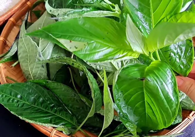 Cách Nấu Cơm Lá Cẩm Thơm Ngon, Đẹp Mắt, Đậm Đà Hương Vị