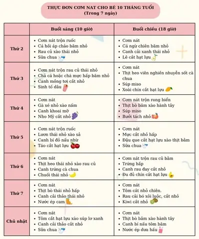 Hướng dẫn chi tiết cách nấu cơm nát cho bé 10 tháng Hướng dẫn chi tiết cách nấu cơm nát cho bé 10 tháng