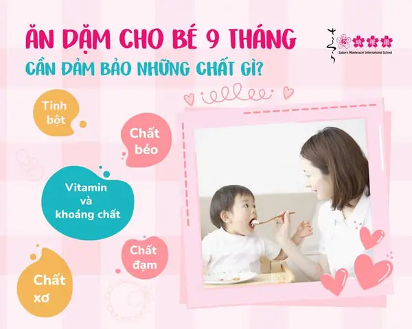 Cách Nấu Cơm Nát Cho Bé 9 Tháng Chuẩn Dinh Dưỡng Cách Nấu Cơm Nát Cho Bé 9 Tháng Chuẩn Dinh Dưỡng