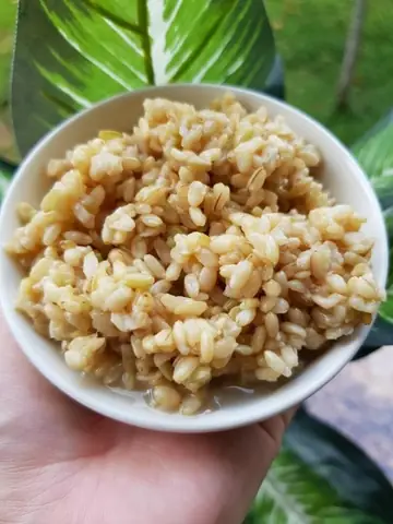 Cách Nấu Cơm Rượu Nếp Cẩm Thơm Ngon Chuẩn Vị Tại Nhà