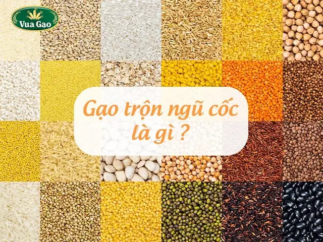 Cách nấu cơm với các loại hạt ngon, bổ dưỡng tại nhà