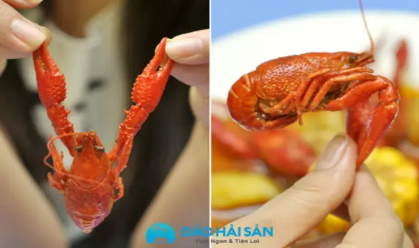Hướng dẫn chi tiết cách nấu Crawfish sốt Cajun chuẩn vị