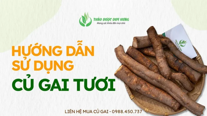 cách nấu củ gai tươi an thai