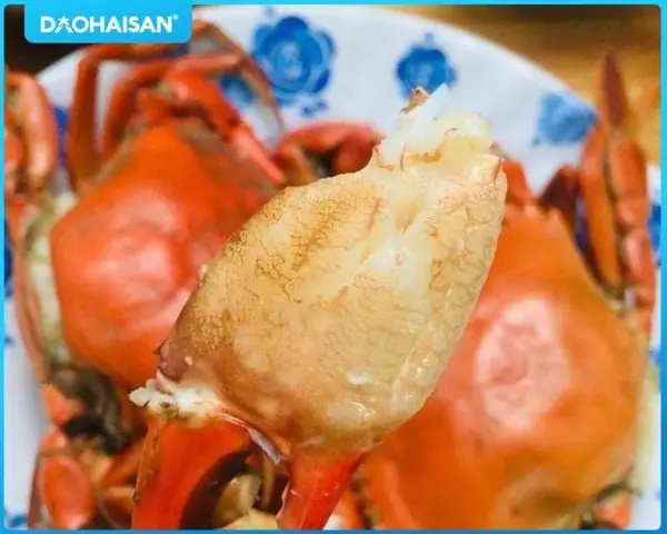 Cách Nấu Cua Cà Mau Chuẩn Vị Tại Gia Đơn Giản, Hấp Dẫn