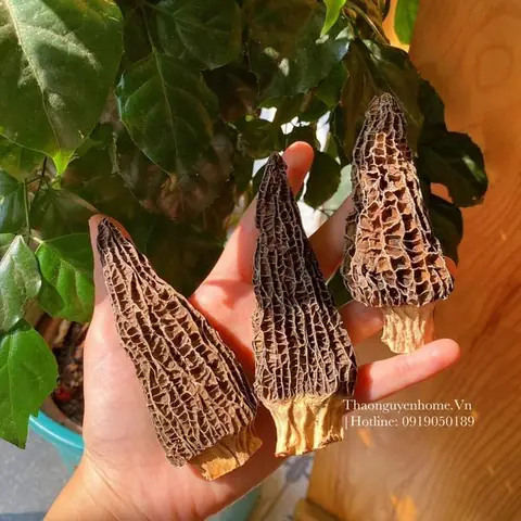 Cách Nấu Dạ Con Dê Thơm Ngon, Mềm Mại Chuẩn Vị