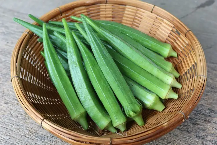 cách nấu đậu bắp không bị nhớt cách nấu đậu bắp không bị nhớt