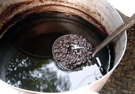 Hướng Dẫn Cách Nấu Đậu Đen Xanh Lòng Thơm Ngon Chuẩn Vị Tại Nhà