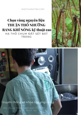 Phải thật hiểu nguyên lý chuyển hoá của cấu trúc hạt và áp dụng Công nghệ rang phù hợp mới làm chuẩn quy trình được.