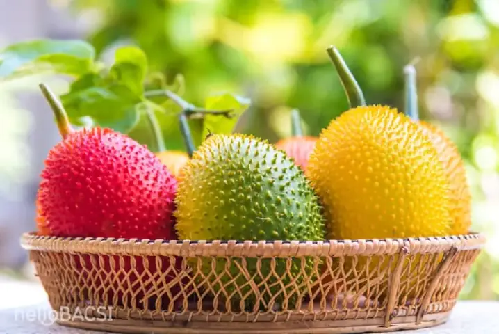 Cách Nấu Dầu Gấc Tại Nhà: Hướng Dẫn Từng Bước Đơn Giản, Hiệu Quả