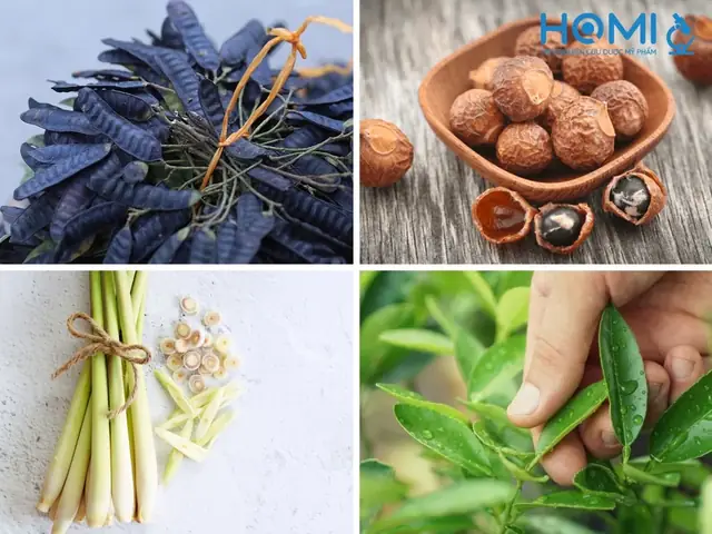 cách nấu dầu gội bồ kết