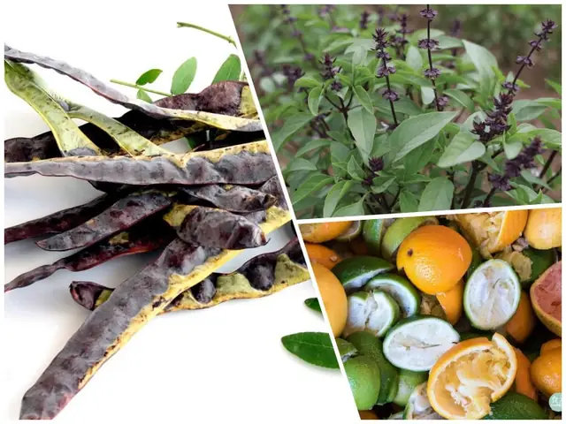 5 Cách Nấu Dầu Gội Thảo Dược Cô Đặc Dưỡng Tóc Chắc Khỏe