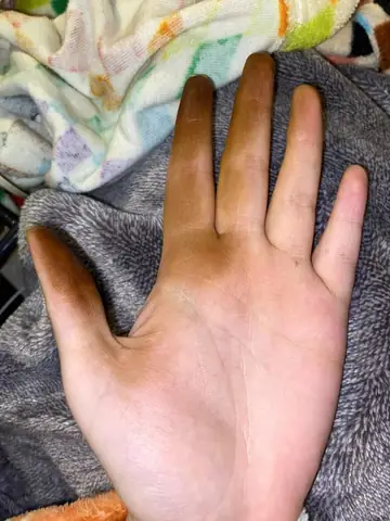 Hướng Dẫn Chi Tiết Cách Nấu Dầu Óc Chó Tại Nhà