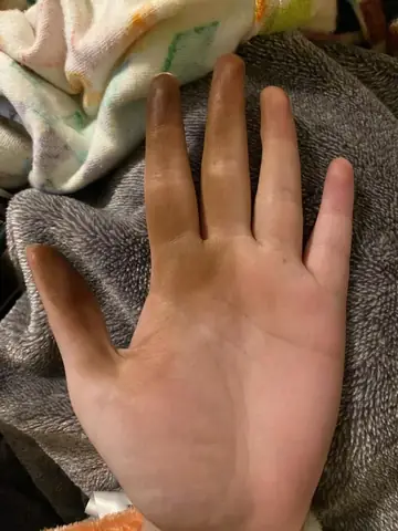 Hướng Dẫn Chi Tiết Cách Nấu Dầu Óc Chó Tại Nhà