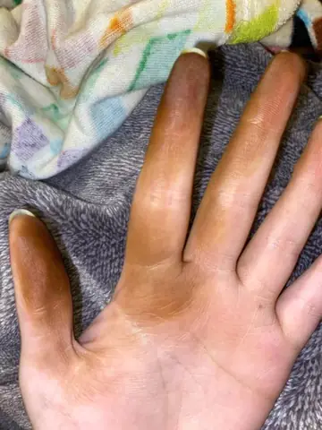 Hướng Dẫn Chi Tiết Cách Nấu Dầu Óc Chó Tại Nhà