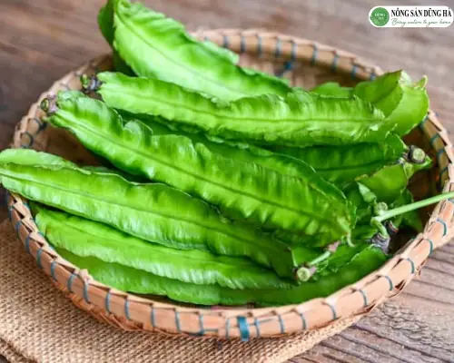 Hướng Dẫn Chi Tiết Cách Nấu Đậu Rồng Xào Thịt Bò Thơm Ngon