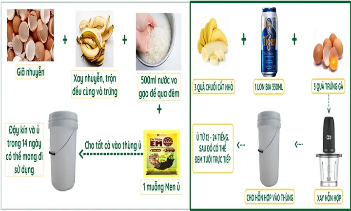 Hướng Dẫn Cách Nấu Dịch Chuối Tưới Lan Hiệu Quả