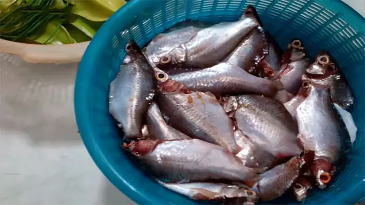 Cách Nấu Diệc Om Khế Thơm Ngon, Đậm Đà Hương Vị Quê Nhà