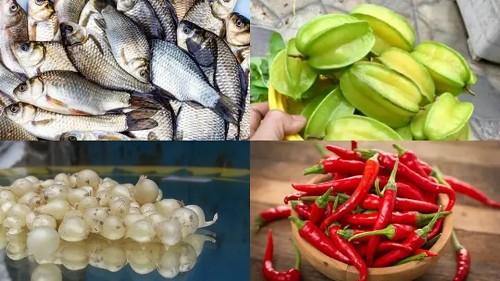 Cách Nấu Diệc Om Khế Thơm Ngon, Đậm Đà Hương Vị Quê Nhà