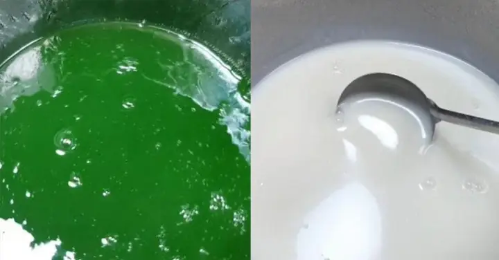 Cách Nấu Đông Sương Dẻo Thơm Ngon, Mịn Màng Tại Nhà