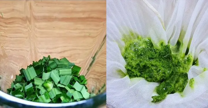 Cách Nấu Đông Sương Ngon Dẻo Mịn, Thơm Mát Cho Ngày Hè