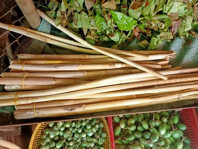 Cách Nấu Đọt Mây Lá Nhíp: Bí Quyết Chế Biến Món Ăn Dân Dã Đậm Đà