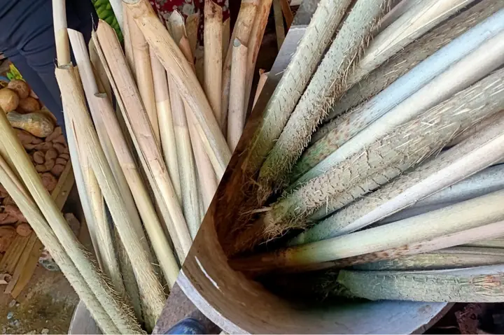 Cách Nấu Đọt Mây Lá Nhíp: Bí Quyết Chế Biến Món Ăn Dân Dã Đậm Đà