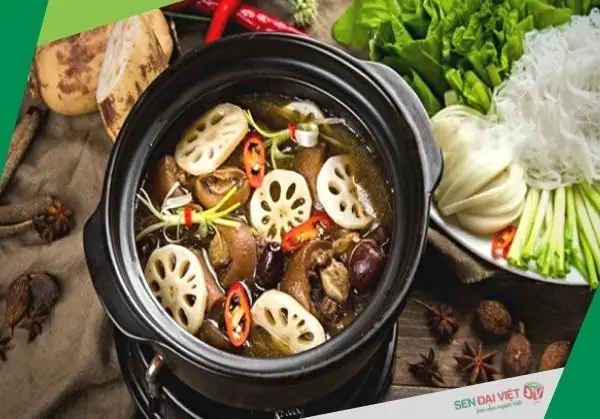 Cách Nấu Đuôi Bò Hầm Củ Sen Thơm Ngon Bổ Dưỡng Tại Nhà Cách Nấu Đuôi Bò Hầm Củ Sen Thơm Ngon Bổ Dưỡng Tại Nhà