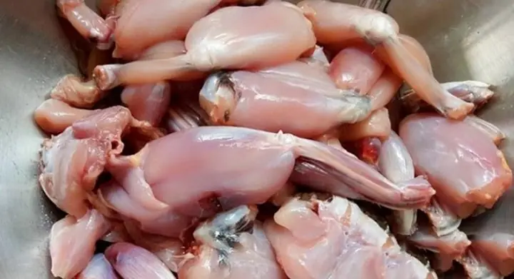 Cách Nấu Ếch Chiên Xù Giòn Rụm, Thơm Ngon Chuẩn Vị Tại Nhà Cách Nấu Ếch Chiên Xù Giòn Rụm, Thơm Ngon Chuẩn Vị Tại Nhà