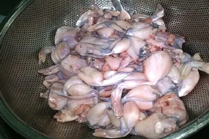 cách nấu ếch om cà