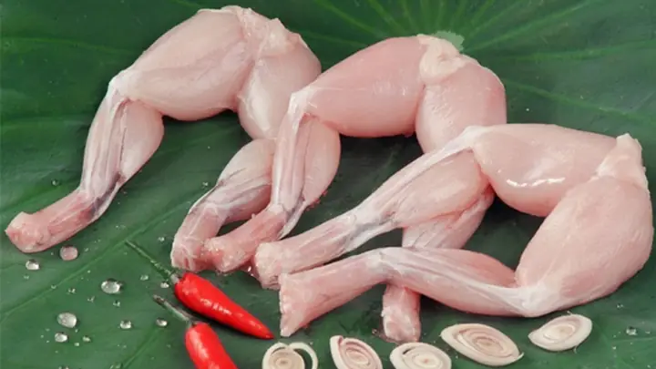 cách nấu ếch om cà