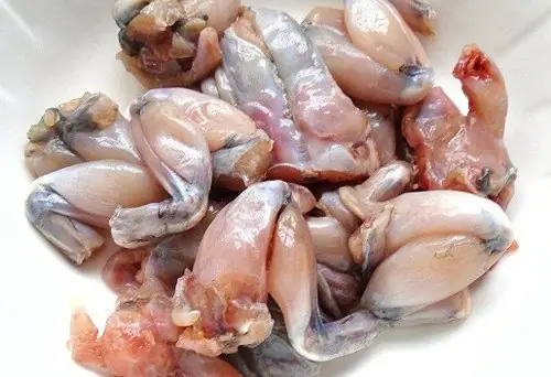 Cách Nấu Ếch Xào Cà Tím Thơm Ngon Đậm Đà Chuẩn Vị Tại Nhà