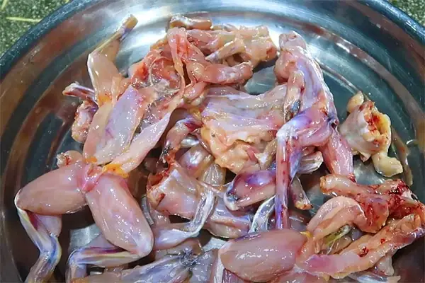 cách nấu ếch xào sả ớt cách nấu ếch xào sả ớt