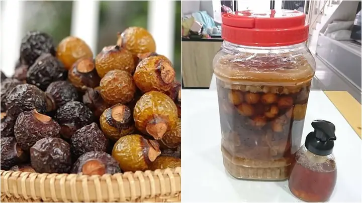 Cách Nấu Enzyme Bồ Hòn Tự Nhiên Tại Nhà Đơn Giản, Hiệu Quả