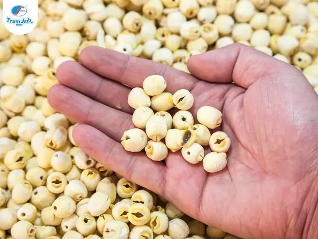 Hướng Dẫn Chi Tiết Cách Nấu Gà Nấu Nấm Hương Thơm Ngon, Bổ Dưỡng Hướng Dẫn Chi Tiết Cách Nấu Gà Nấu Nấm Hương Thơm Ngon, Bổ Dưỡng