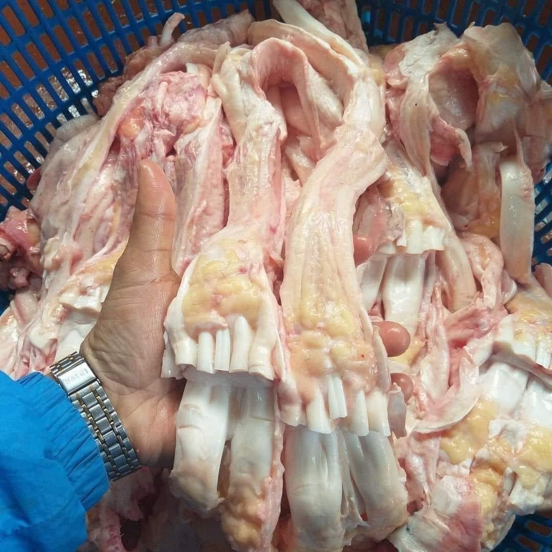 Khám Phá Chân Bò: Đặc Điểm và Lợi Ích Dinh Dưỡng