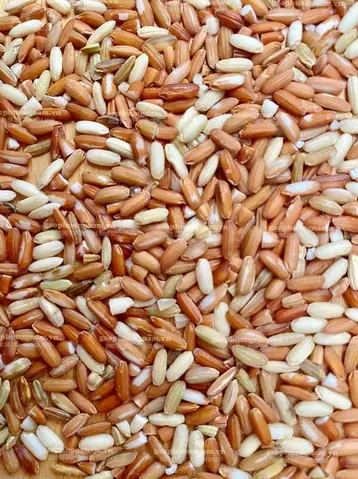 Cách Nấu Gạo Lứt Đỏ Điện Biên: Hướng Dẫn Chi Tiết Từ A-Z