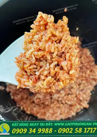 Cách Nấu Gạo Lứt Đỏ Điện Biên: Hướng Dẫn Chi Tiết Từ A-Z