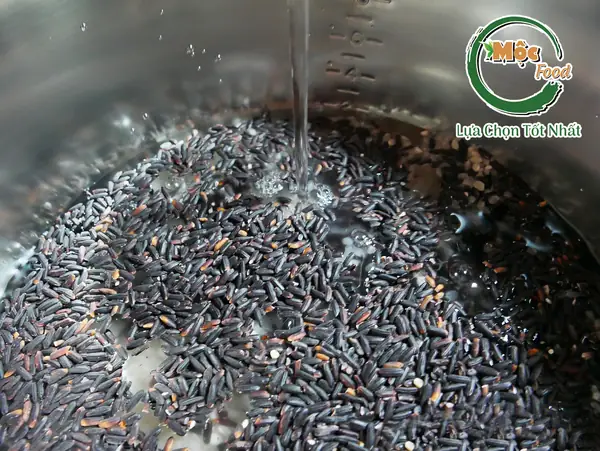 Bước 1: Vo gạo - ngâm gạo lứt