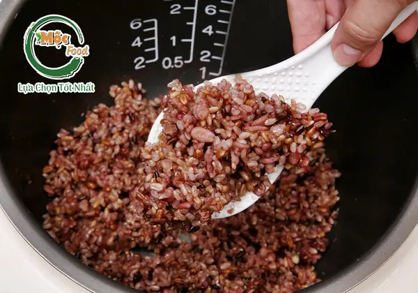 Bước 2: Nấu cơm gạo lứt bằng nồi cơm điện