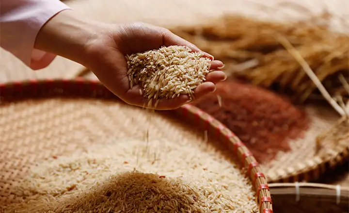 Cách Nấu Gạo Lứt Thực Dưỡng Đơn Giản, Chuẩn Vị Tốt Cho Sức Khỏe